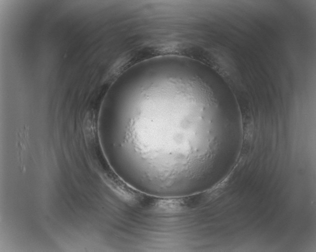 X0000078830179200611131132