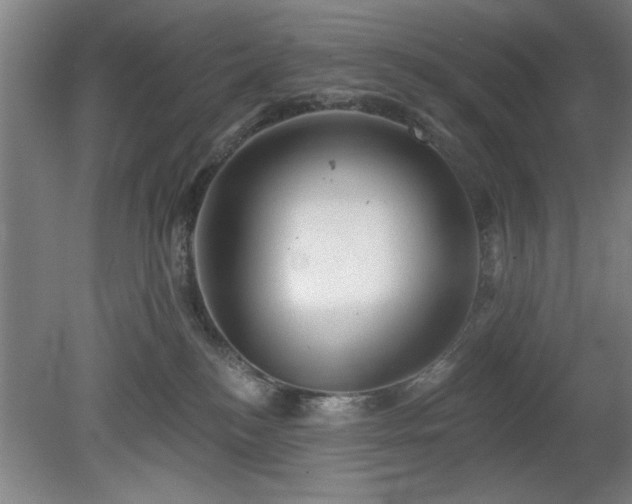 X0000078830184200611131132