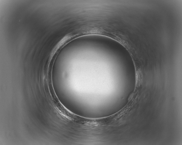 X0000078830195200611131131