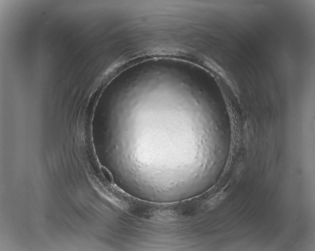 X0000078830203200611131131