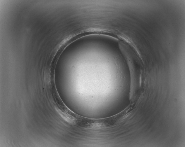 X0000078830204200611131131