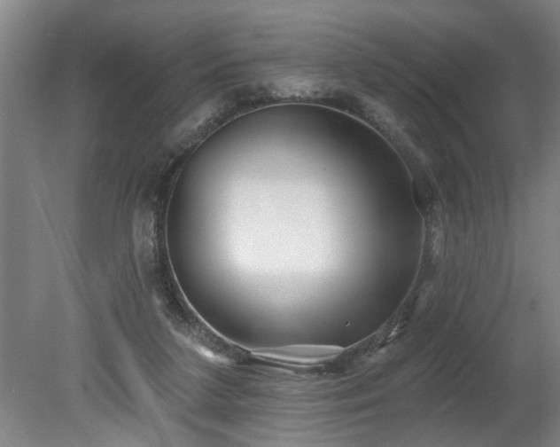 X0000078830211200611131131