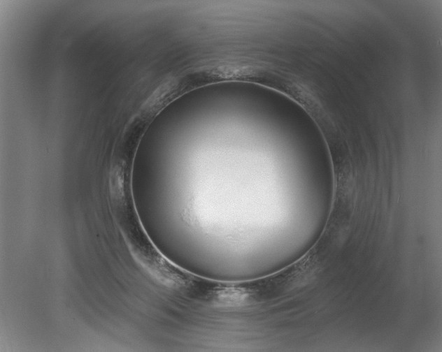 X0000078830214200611131131