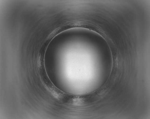 X0000078830216200611131131