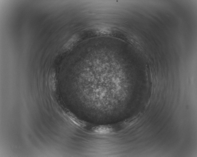 X0000078830223200611131131