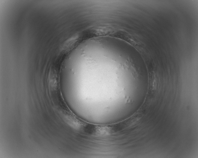 X0000078830226200611131131