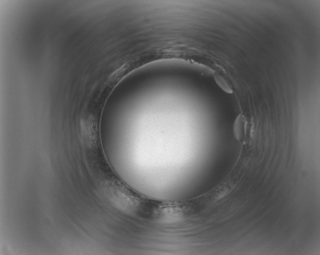 X0000078830228200611131131