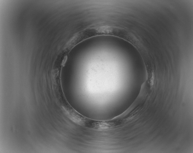 X0000078830229200611131131