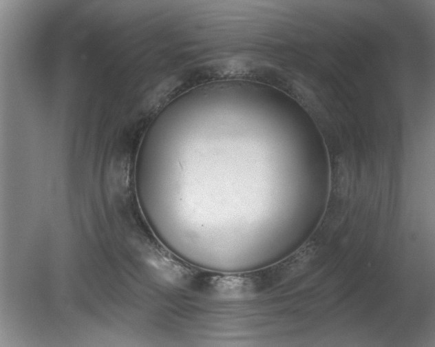 X0000078830230200611131131