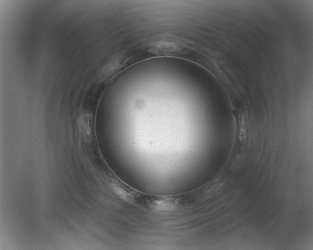 X0000078830232200611131131