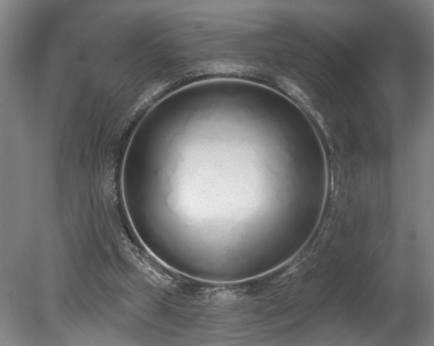 X0000078830249200611131130