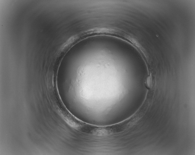 X0000078830253200611131130