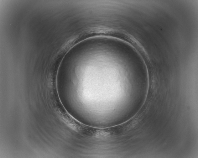 X0000078830257200611131130