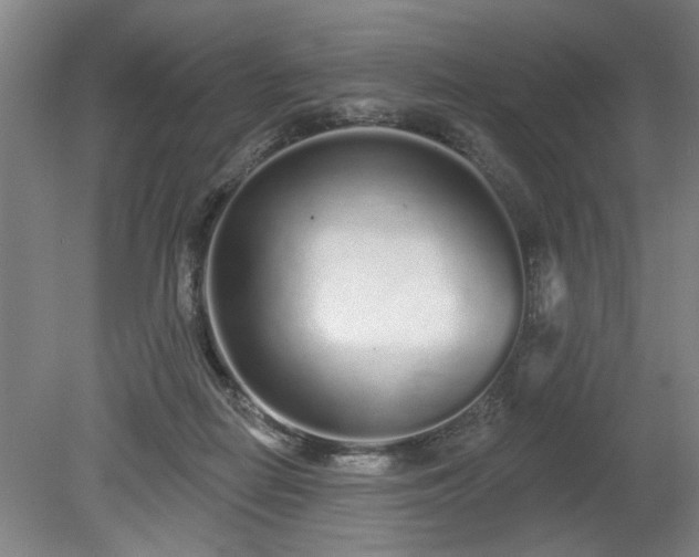 X0000078830266200611131130
