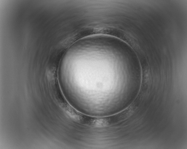 X0000078830275200611131130