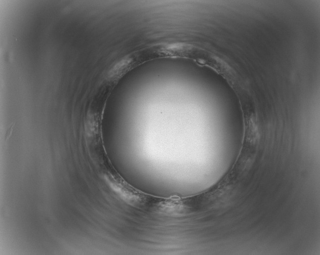 X0000078830284200611131131