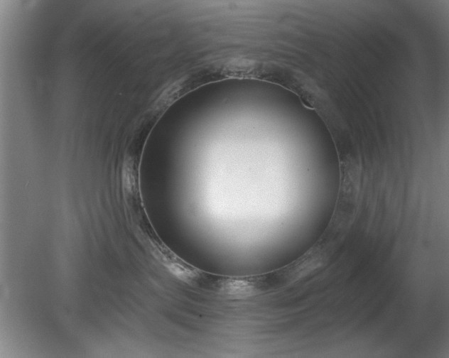 X0000078830287200611131131