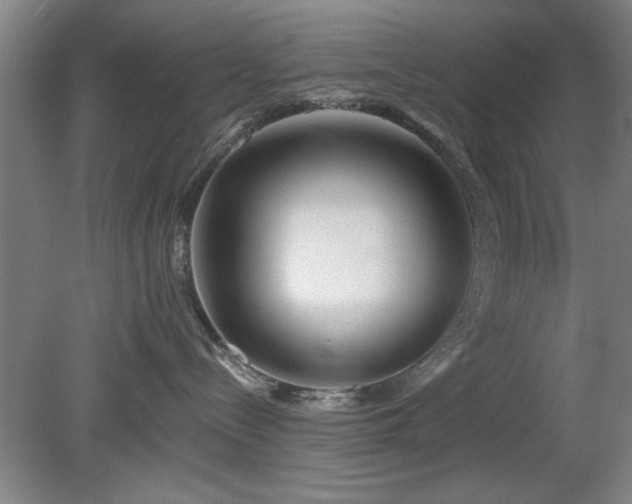 X0000078830288200611131131