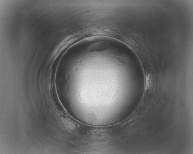 X0000078830291200611131130
