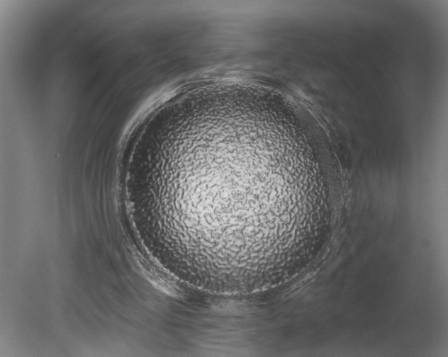X0000078830293200611131130