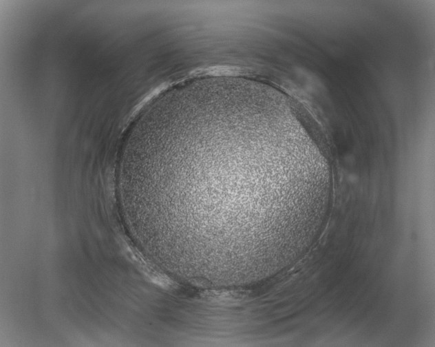 X0000078830297200611131130