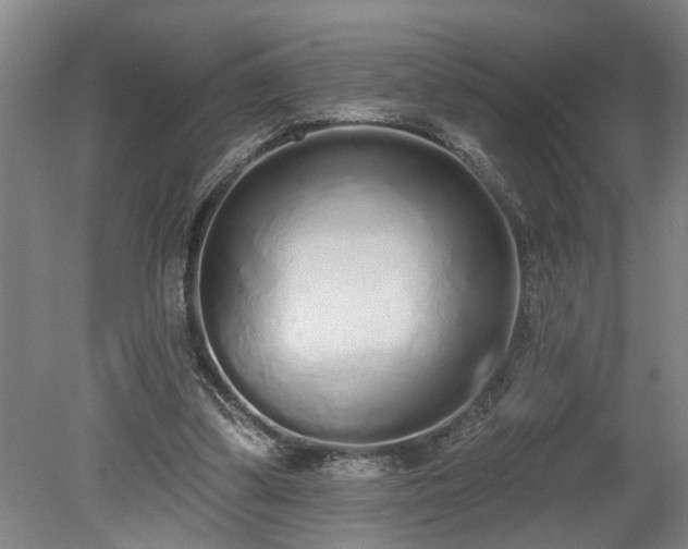 X0000078830299200611131130