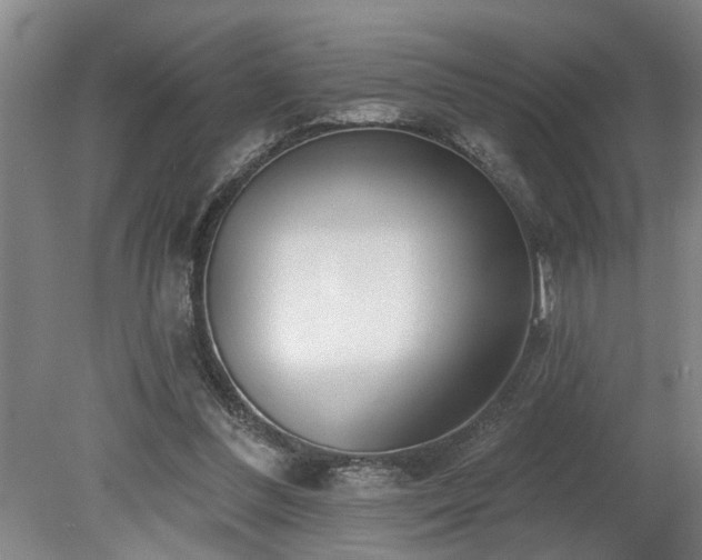 X0000078830300200611131130