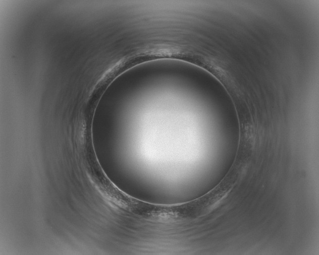 X0000078830304200611131130