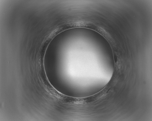 X0000078830306200611131130