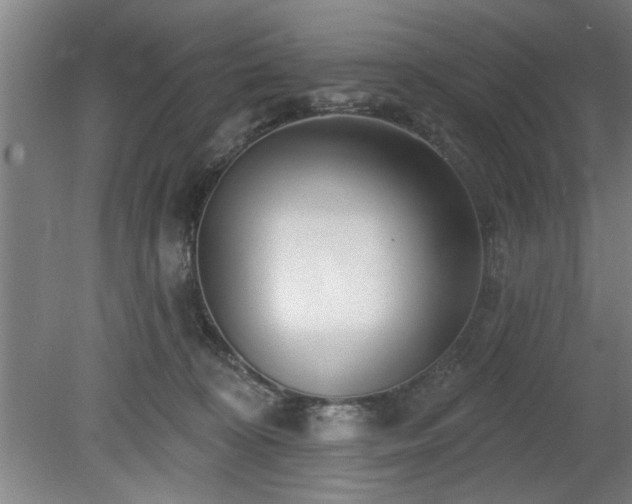 X0000078830324200611131129