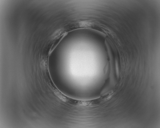 X0000078830329200611131129