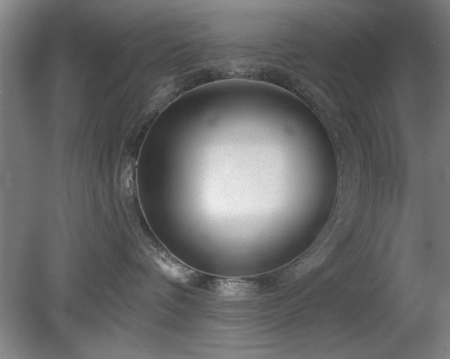 X0000078830336200611131129