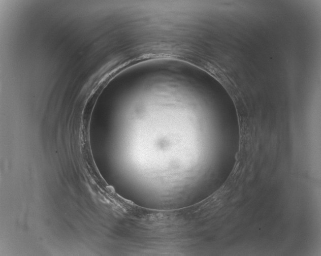 X0000078830338200611131128