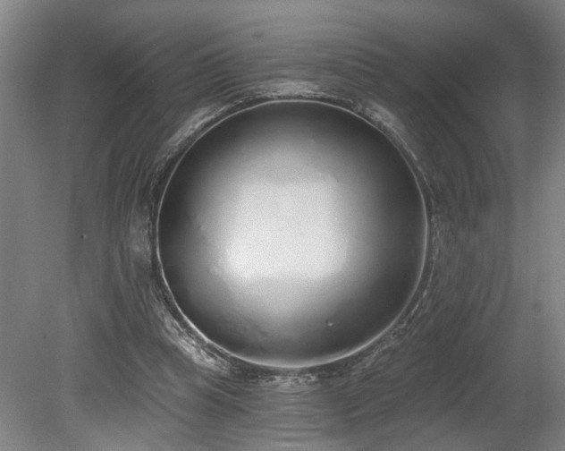 X0000078830345200611131128