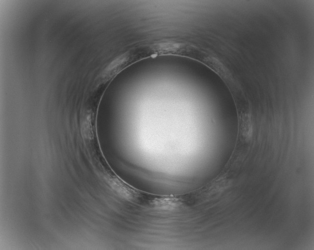 X0000078830378200611131129