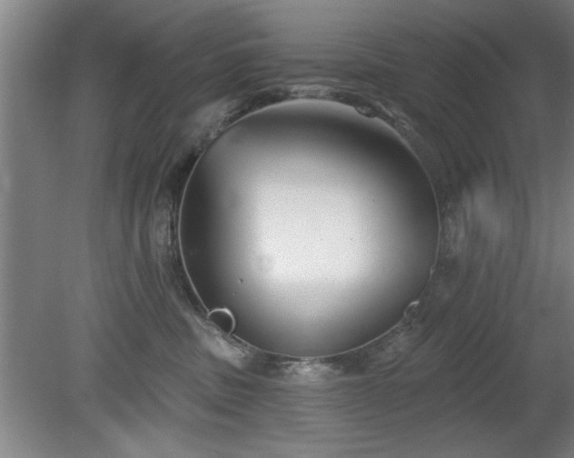 X0000078830379200611131129