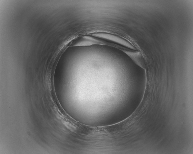X0000078830386200611131128