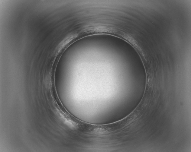 X0000078830390200611131128