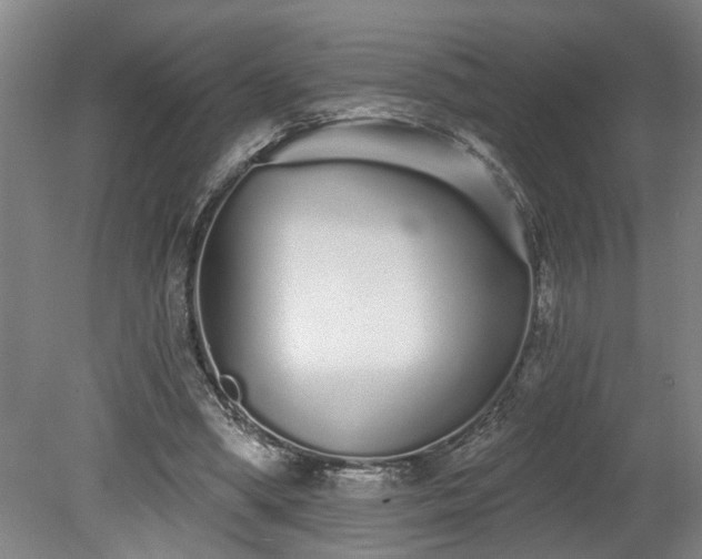 X0000078830394200611131128