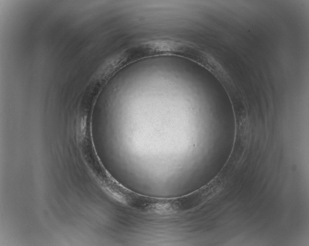 X0000078830406200611131128