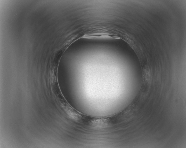 X0000078830422200611131128