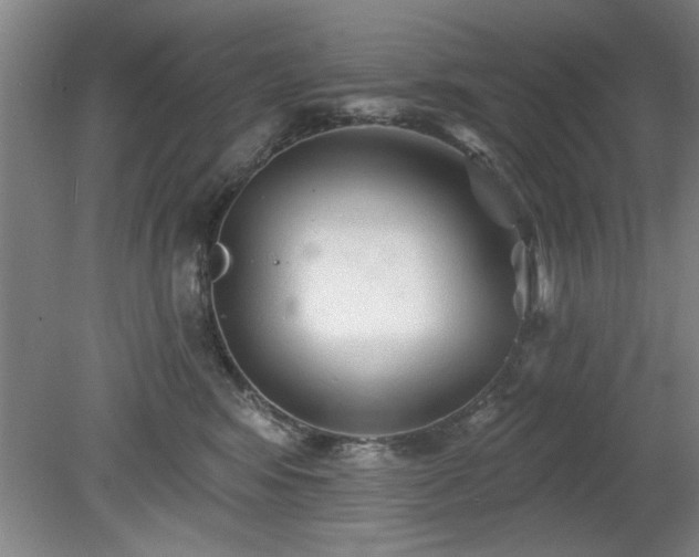 X0000078830424200611131128