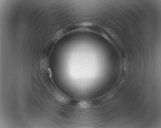 X0000078830425200611131128