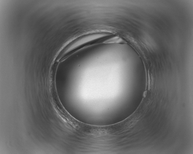 X0000078830435200611131127