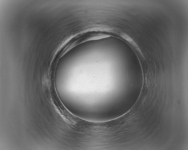 X0000078830436200611131127