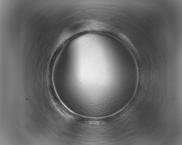 X0000078830439200611131127
