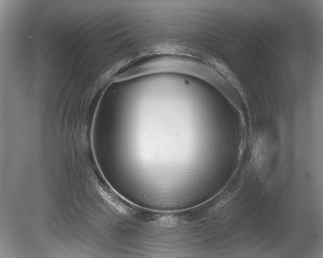X0000078830441200611131127