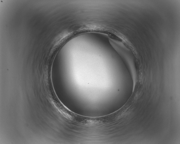X0000078830442200611131127
