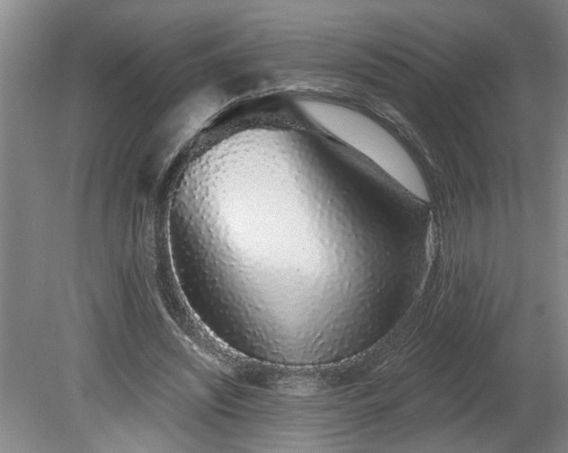 X0000078830444200611131127