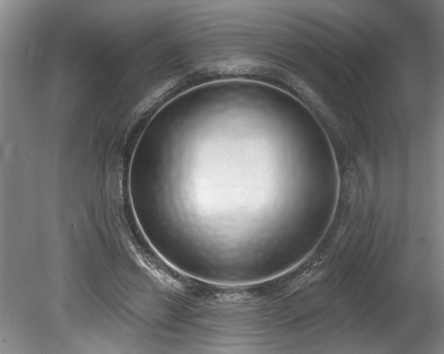 X0000078830446200611131127
